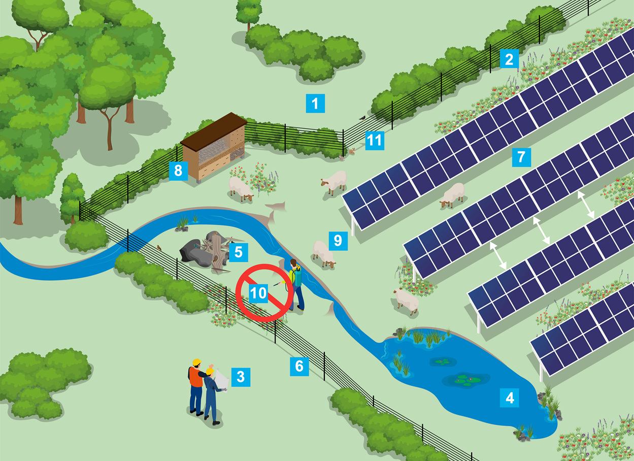 Biodiversit T Und Pv Solarl Sungen Teag Solar